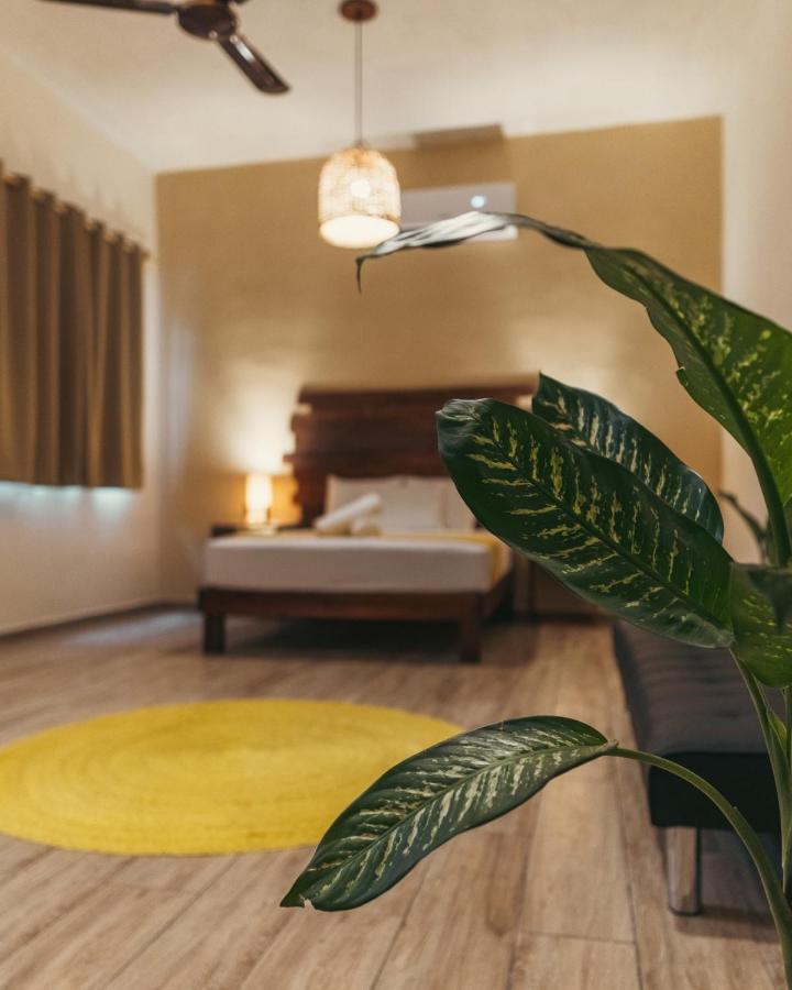 Hotel Sur 巴卡拉尔 外观 照片